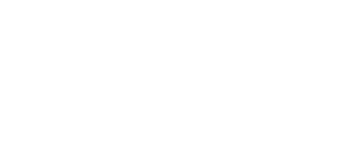 raizen logo